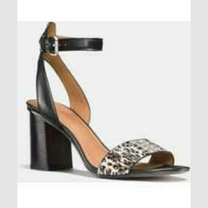 Paige Land Snake/ Mat Calf Black- White /Black